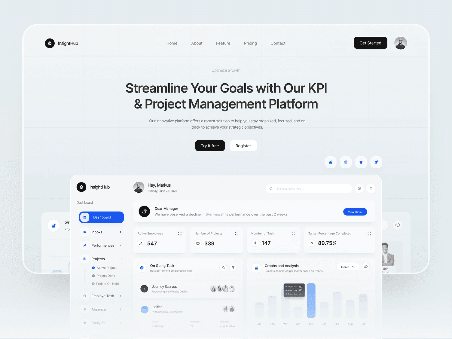InsightHub - KPI & Project Management Dashboard Web Developmentsite Development